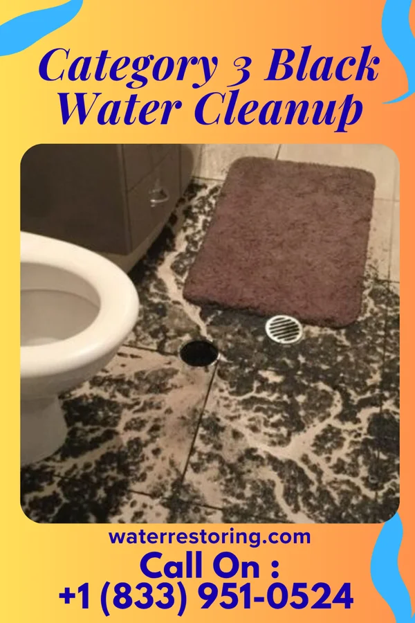 Category 3 Black Water Cleanup in Fairlawn, OH