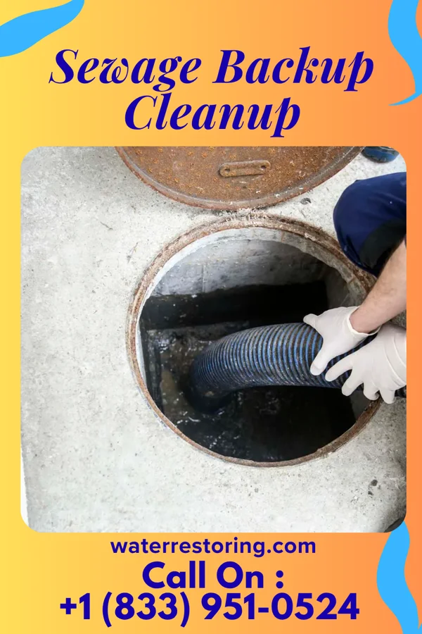 Sewage Backup Cleanup in Fairlawn, OH
